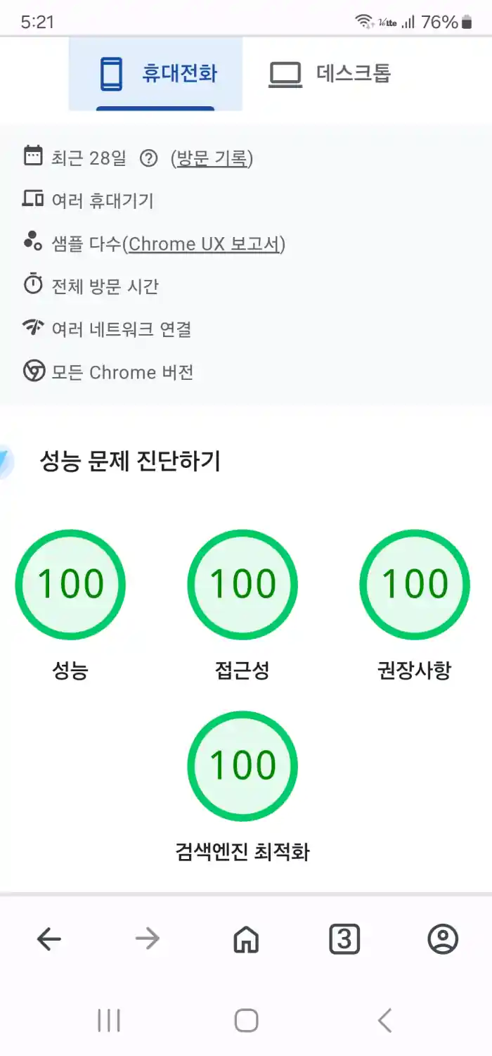 페이지스피드 성능점수 100점 기록 화면