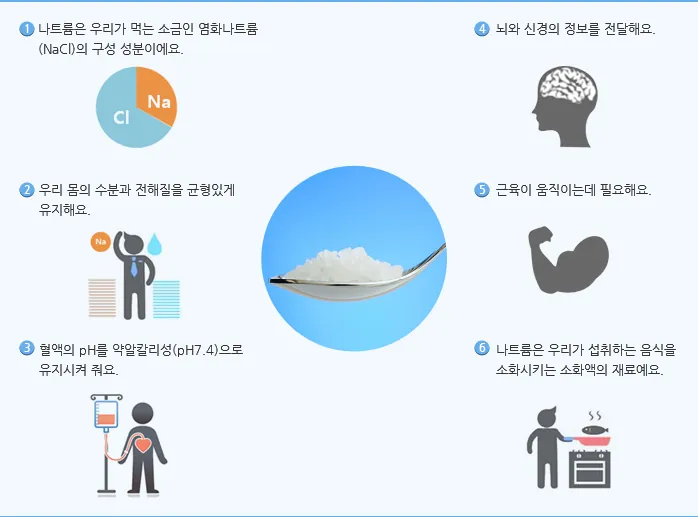 나트륨이 우리 몸을 어떻게 변화시키는지 알고나면 싱겁게 먹을 수밖에 없음