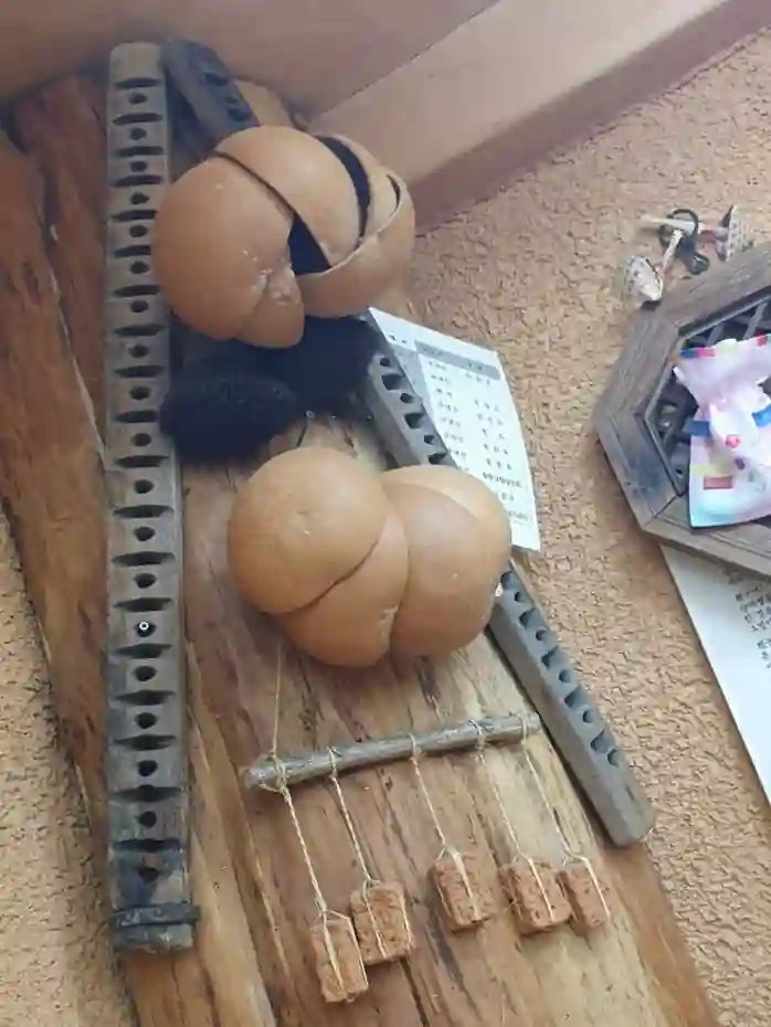 의령소바 인테리어 박